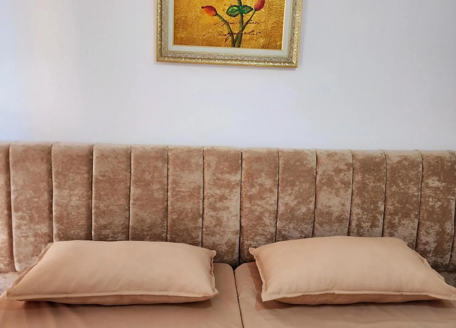 Guest House Stela تيرانا ألبانيا
